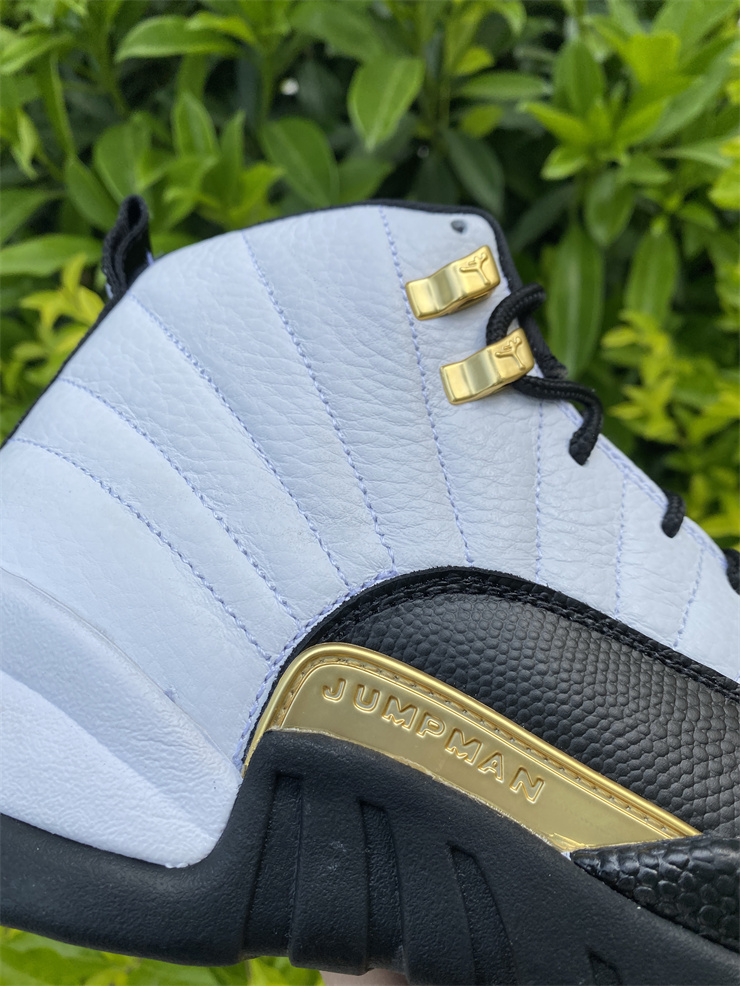 Air Jordan 12 Royalty