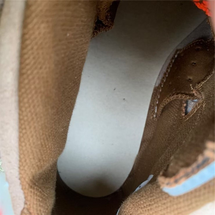 Travis Scott x Air Jordan 6