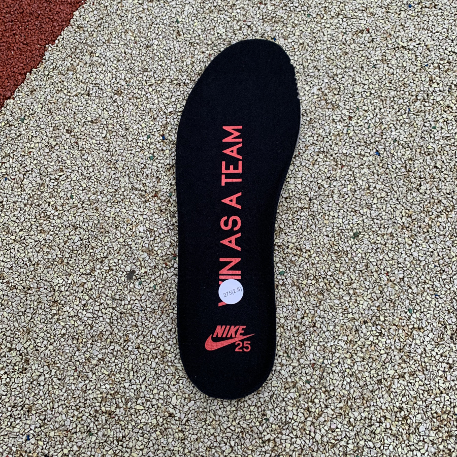 Nike SB Dunk Low “25th Anniversary”GS