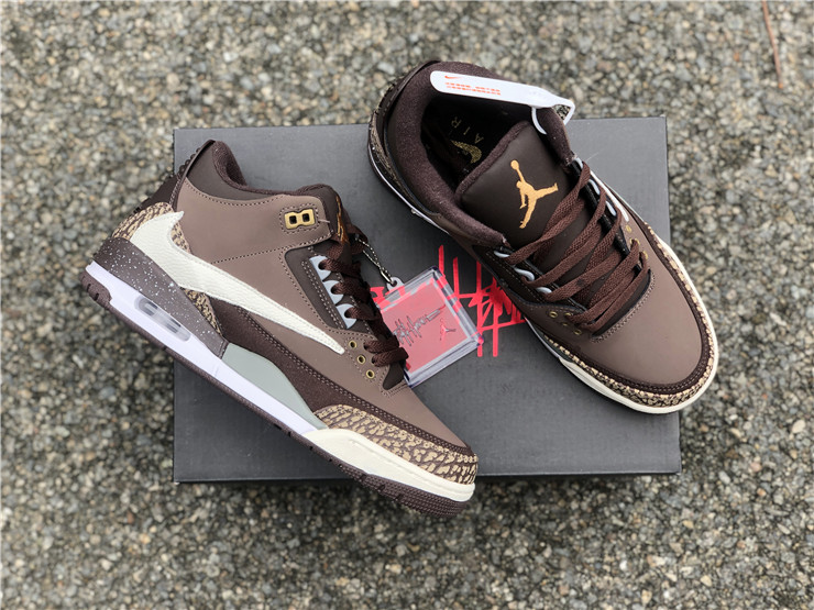 Air Jordan 3 TS