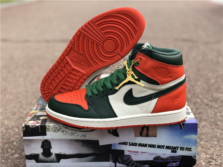 Air Jordan 1 “Solefiy”