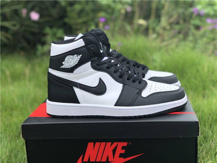 Air Jordan 1 “Black White”