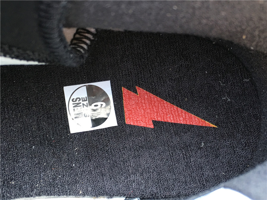 Air Jordan 6 “Gatorade”