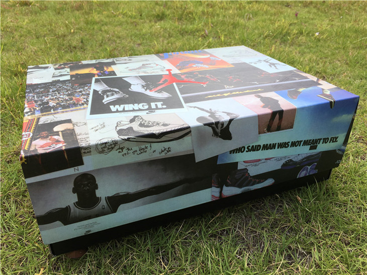 Air Jordan 6 Nylon Green