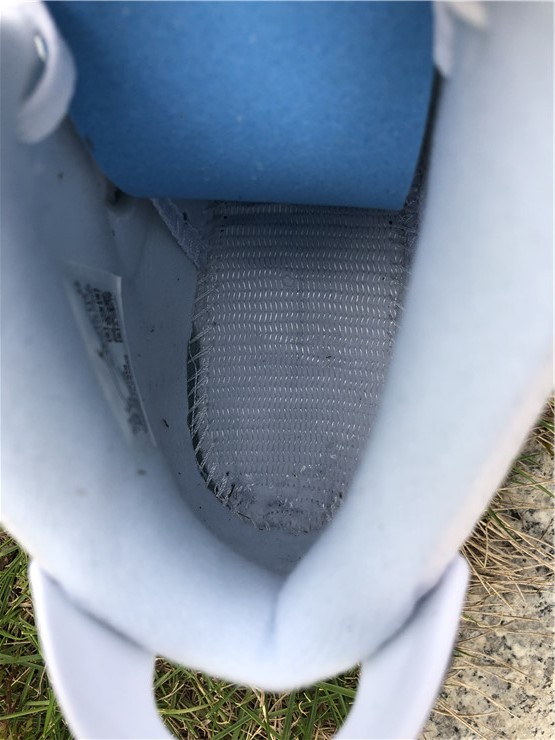 Air Jordan 6 GS “Alligator”