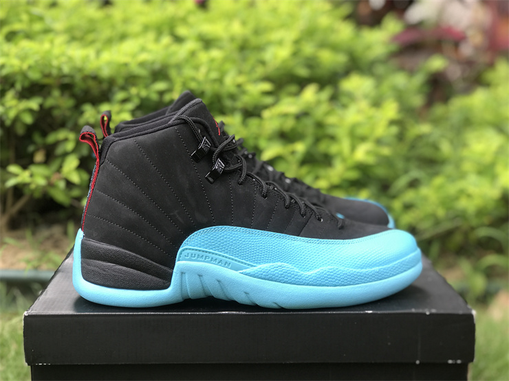 Air Jordan 12 Gamma Blue
