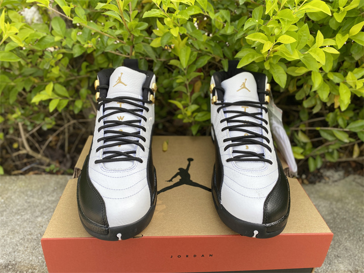 Air Jordan 12 Royalty