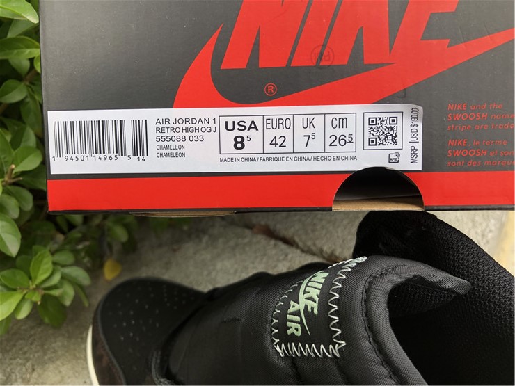 Air Jordan 1 “Rust Shadow”