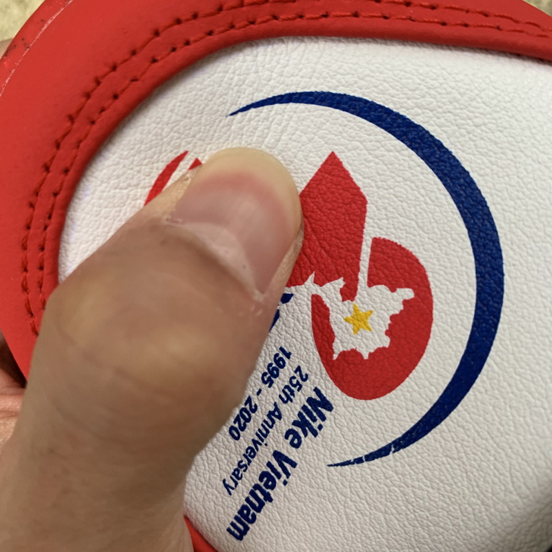 Nike SB Dunk Low “25th Anniversary”