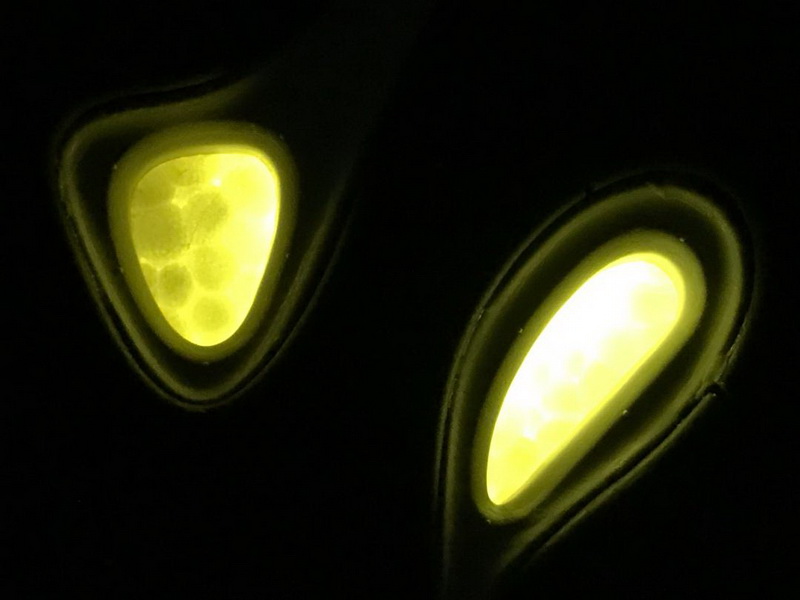 AD Yeezy Wave Runner 700 Boost