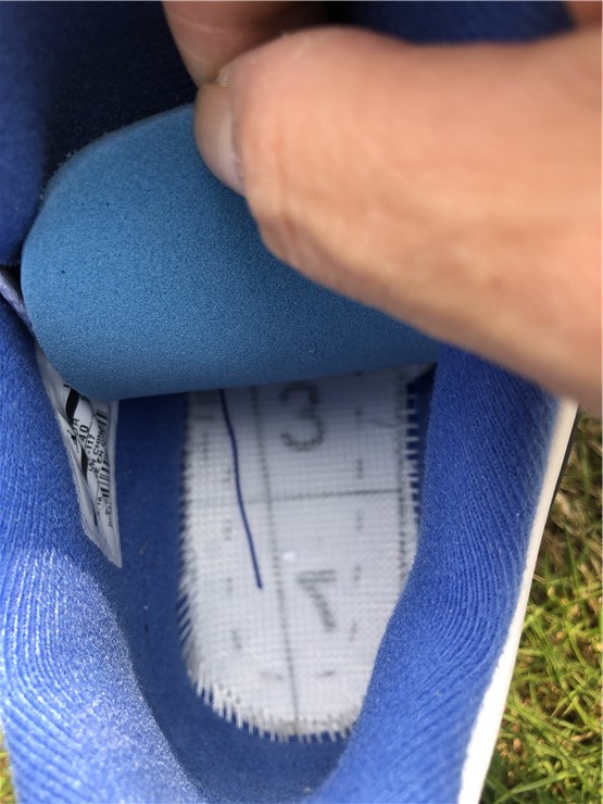 Air Jordan 4 “Motorsports”