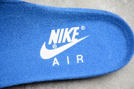 NIKE AIR MAX 1 ANNIVERSARY