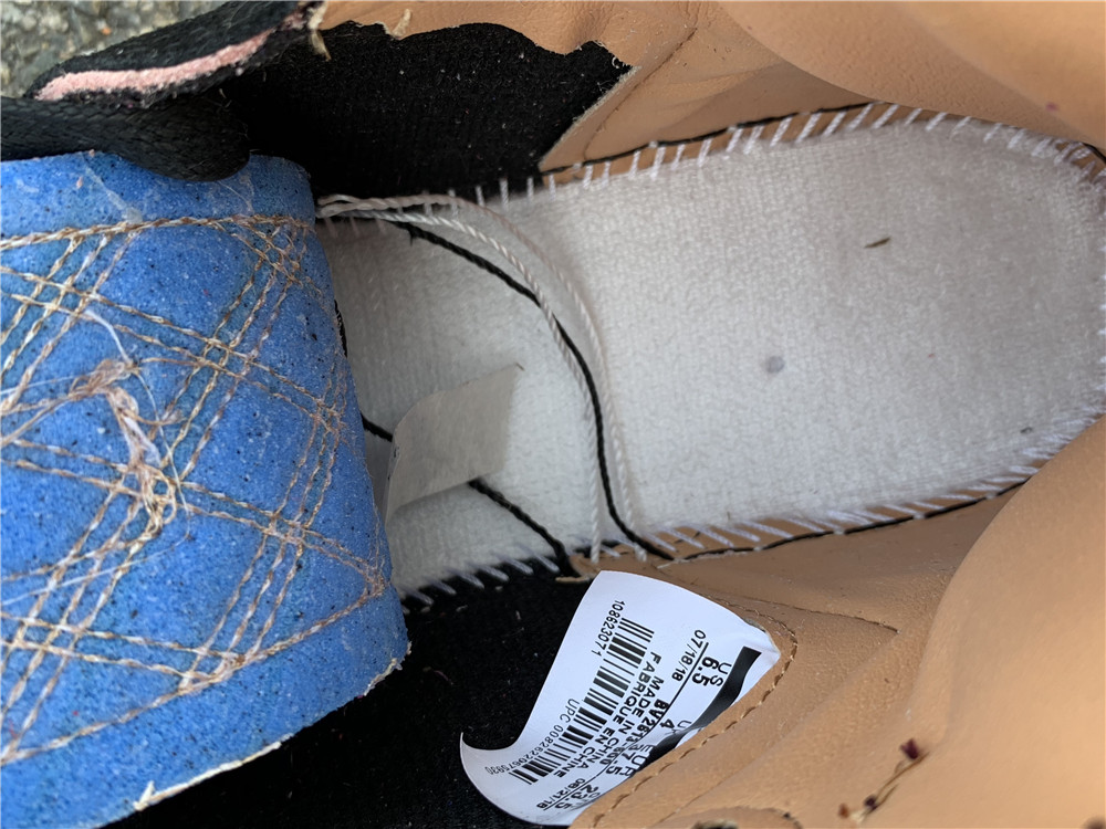 Aleali May x Air Jordan 1 “Viotech”