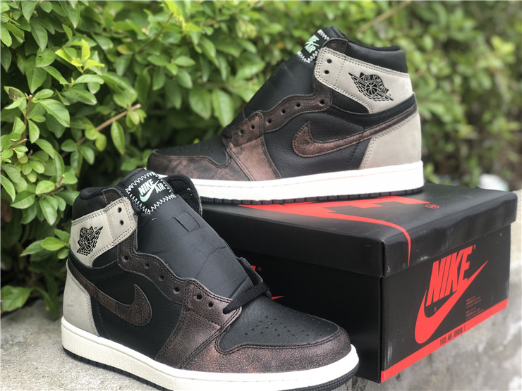 Air Jordan 1 “Rust Shadow”