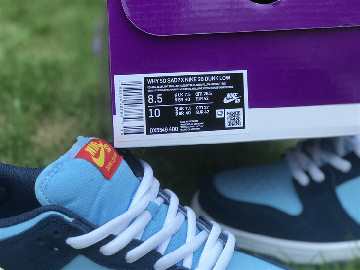 Nike Dunk Low WHY SO SAD X NIKE SB