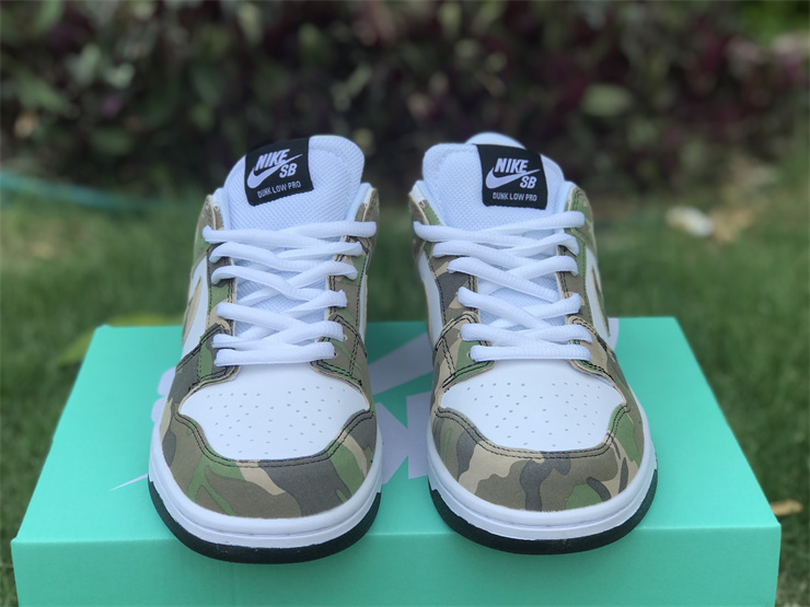 Nike Dunk Low Camouflage