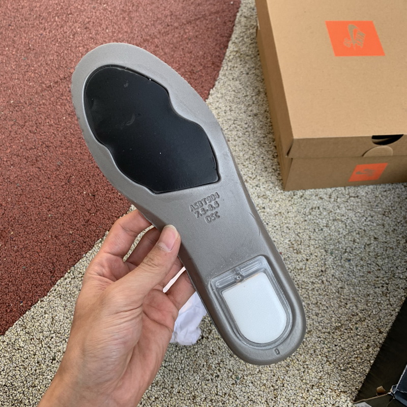 Nike SB Dunk Low PRO ISO