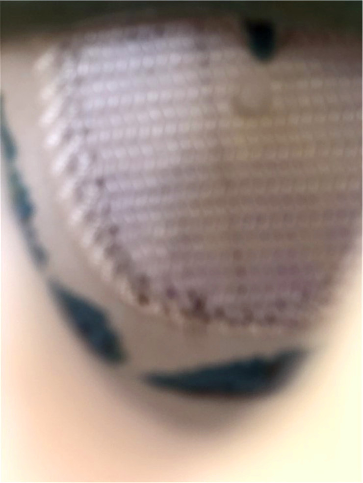 Air Jordan 3 WMNS “Rust Pink”