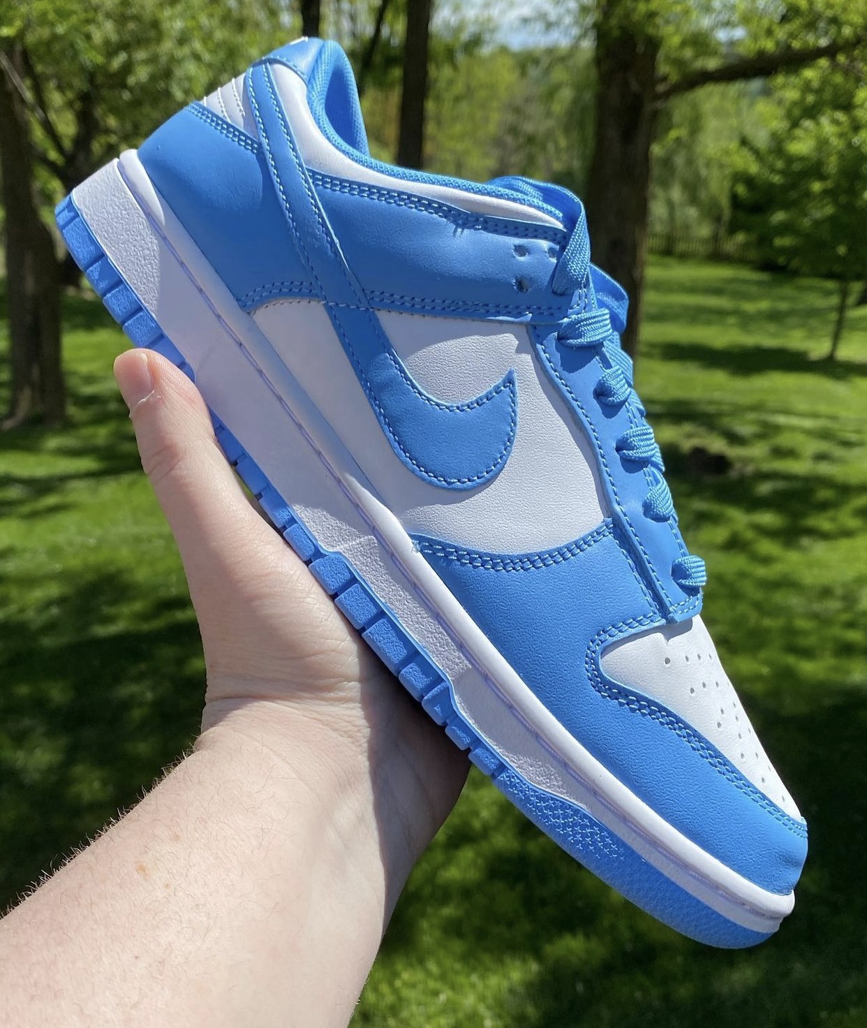 Nike Dunk Low UNC (2021)