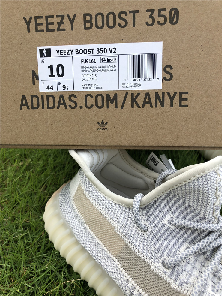 Yeezy Boost 350 Boost V2