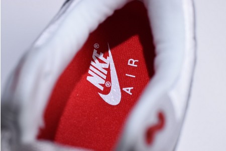 Nike Air Max 1 Anniversary - Nike