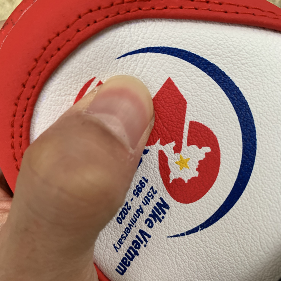 Nike SB Dunk Low “25th Anniversary”GS