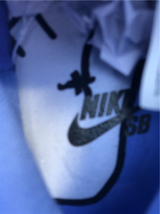 Carpet Company x Nike SB Dunk High