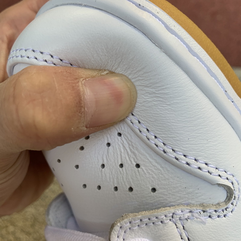 Nike SB Dunk Low PRO ISO