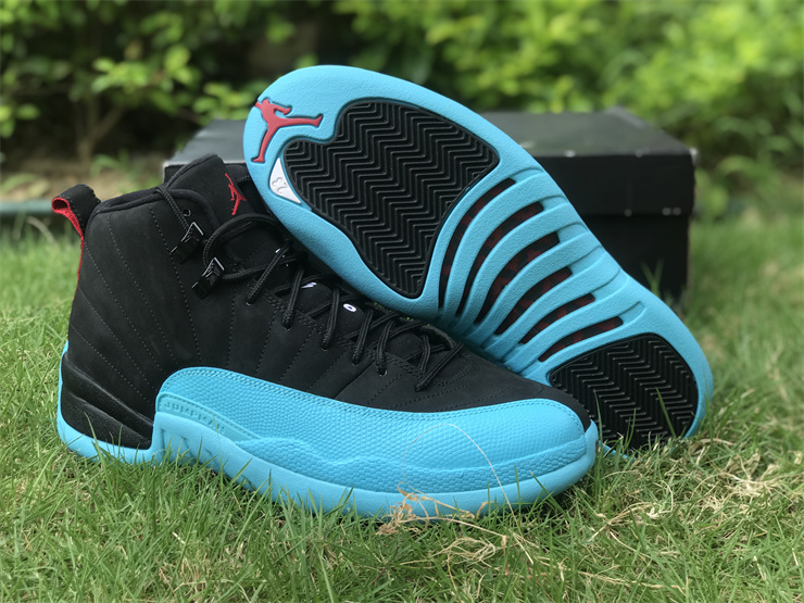 Air Jordan 12 Gamma Blue