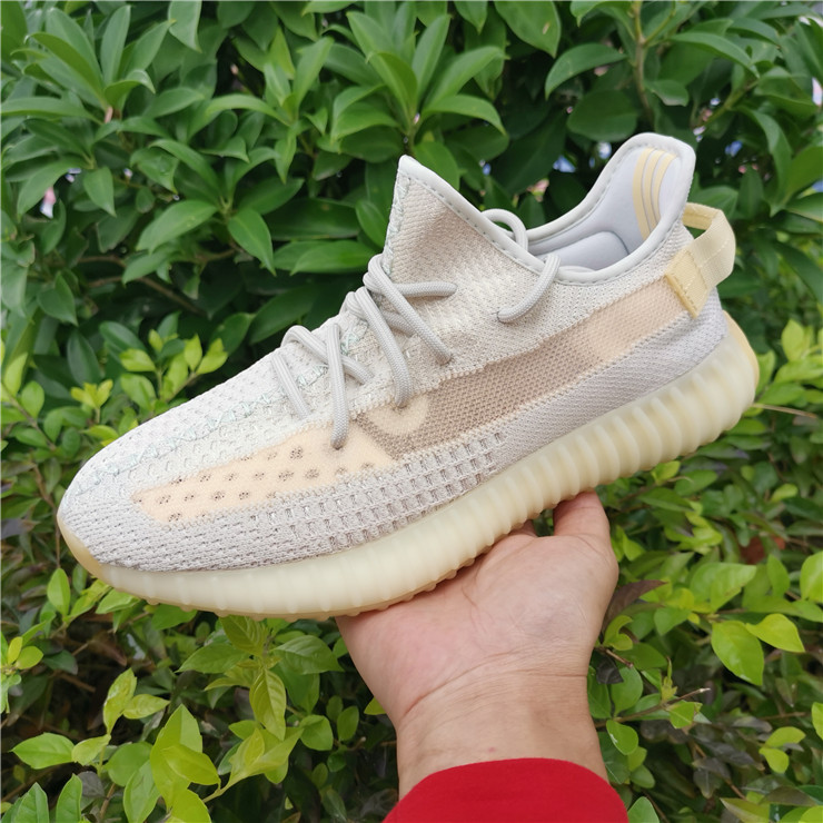 Yeezy Boost 350 Boost V2 Chameleon