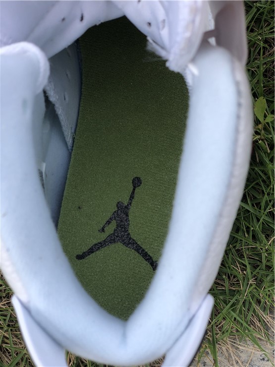 Air Jordan 6 GS “Alligator”