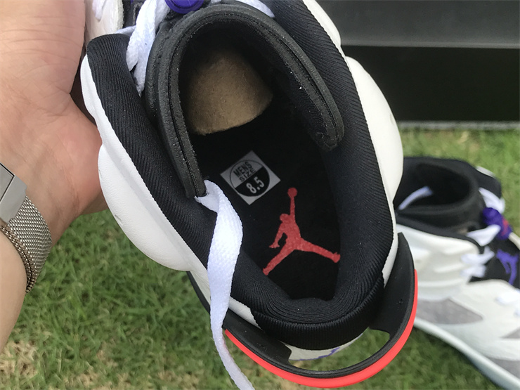 AIR JORDAN 6 Flint AJ6 UV gray crack