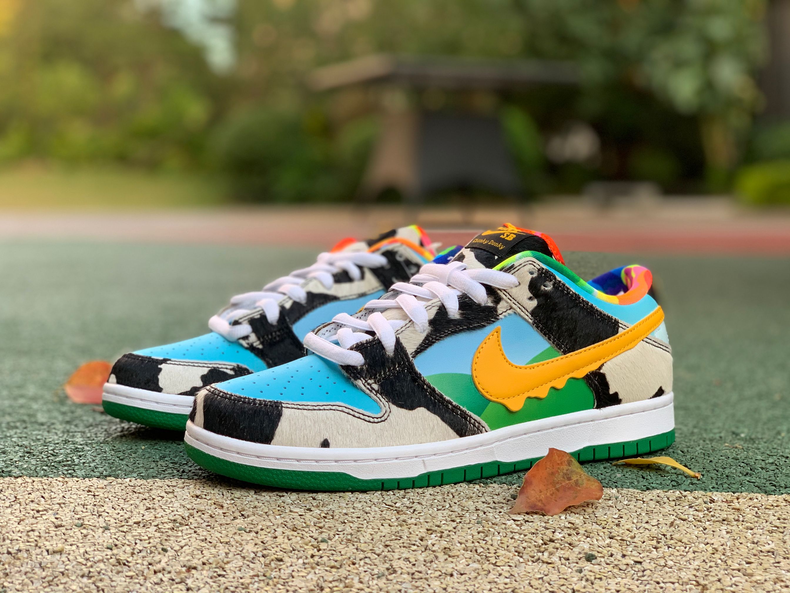 Ben & Jerry's x Nike SB Dunk Low Pro QS GS