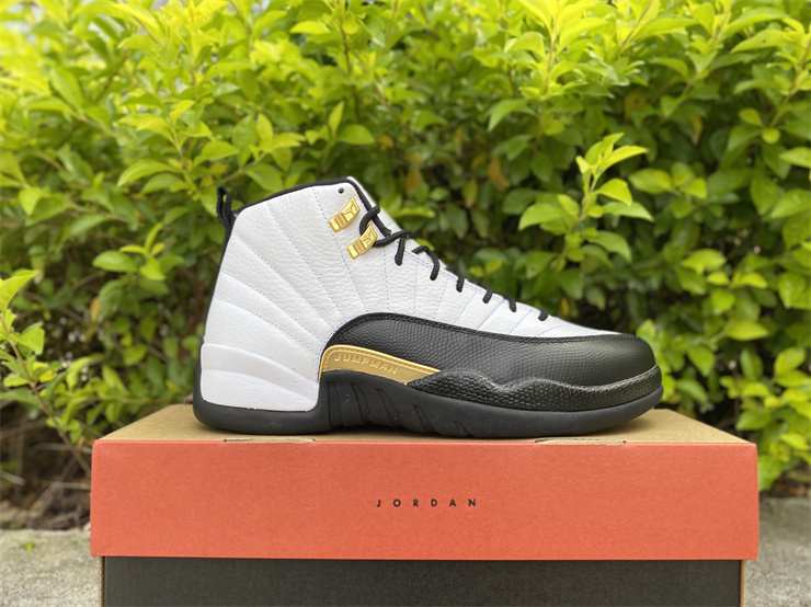 Air Jordan 12 Royalty