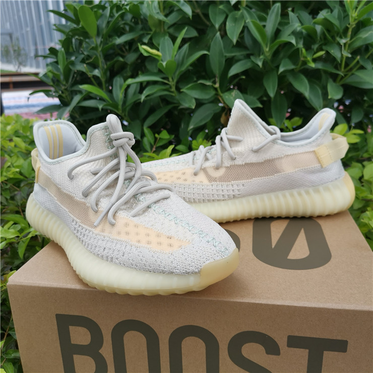 Yeezy Boost 350 Boost V2 Chameleon