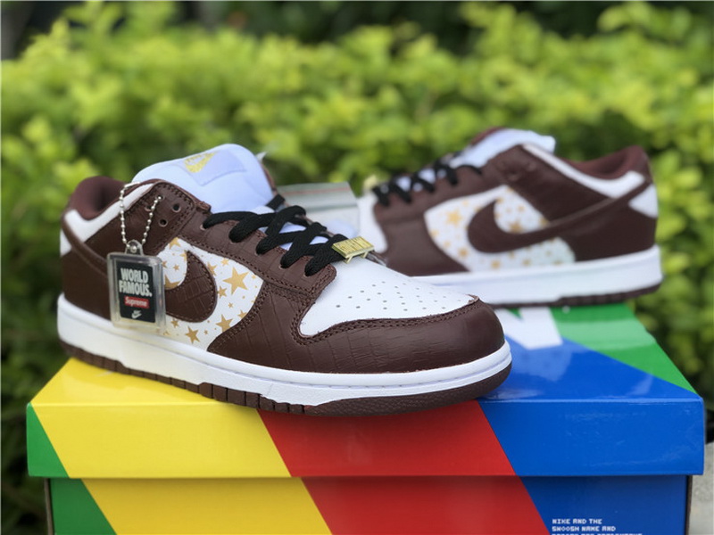 Supreme x Nike SB Dunk Low “Barkroot Brown”