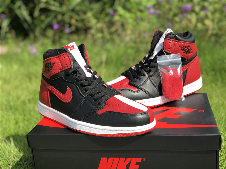 Air Jordan 1 “Mandarin Duck”