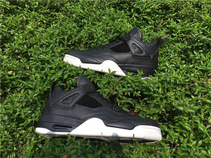 Air Jordan 4 Premium