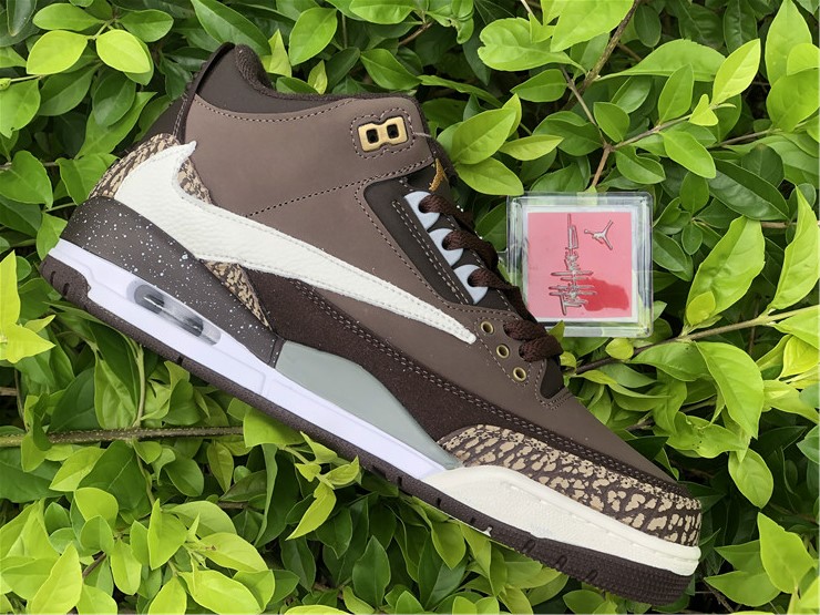 Air Jordan 3 TS