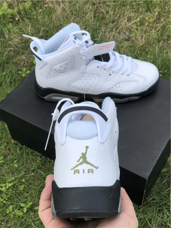 Air Jordan 6 GS “Alligator”