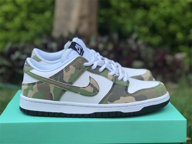 Nike Dunk Low Camouflage