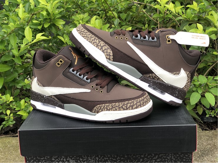 Air Jordan 3 TS