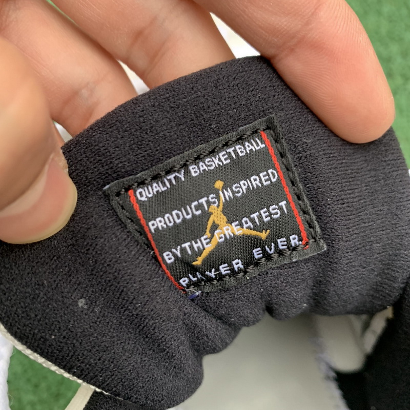 Air Jordan 11 “Platinum Tint”