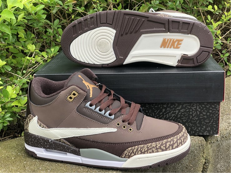 Air Jordan 3 TS
