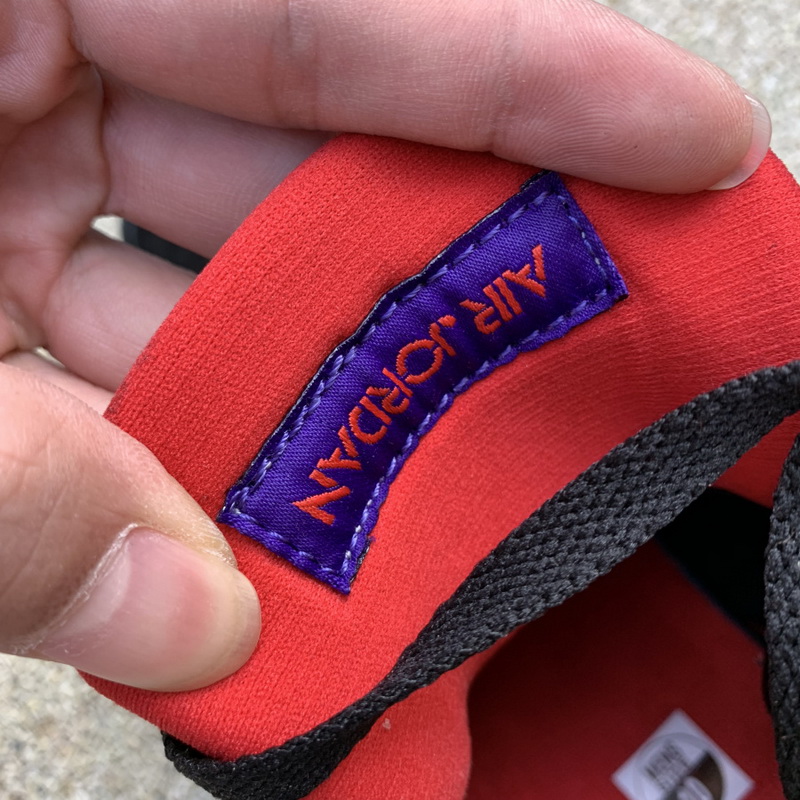 Air Jordan 4 NRG Raptors