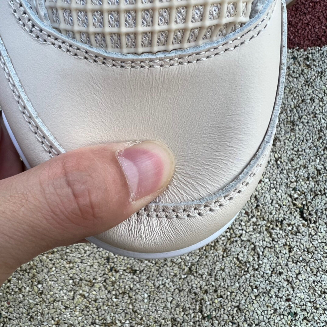 Air Jordan 4 Where the Wild Things Are