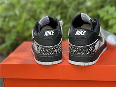 NIKE SB DUNK LOW PRO
