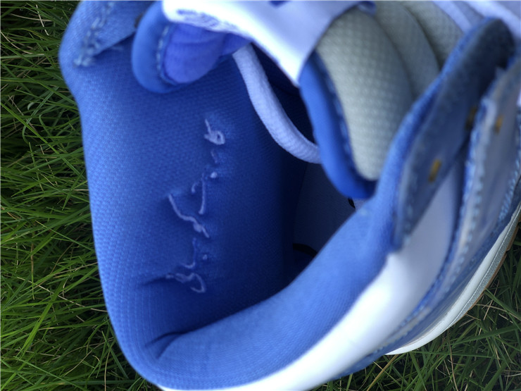 Carpet Company x Nike SB Dunk High