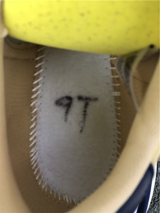 Sacai X Nike VaporWaffle “Tan”