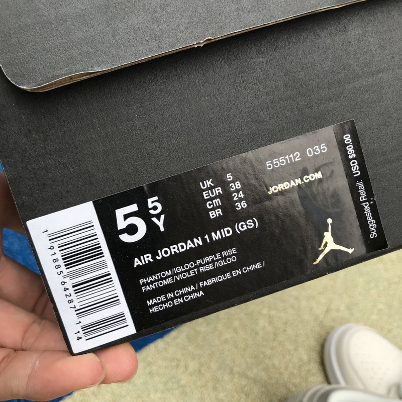 Air Jordan 1 GS Ret High SOH Beige